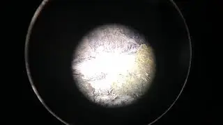 Brad Smith Colorado deer shot. Watch in slow motion.