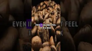 Лучшее время для кофе для пожилых людей ☕ | Улучшите энергию, сон и здоровье сердца естественным ...
