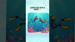 Top 5 Scuba Diving Tips  #scubadiving #scubatips #scubadivinglife #underwaterworld  #scubadivers