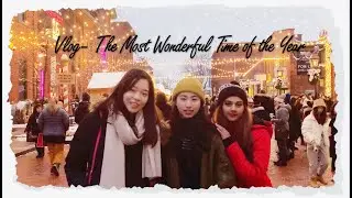 VLOG - Toronto Christmas Market