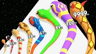 Snake Clash Merge Evolution - Level Up Snake Max Level Gameplay (Snake Evolution Run 3D)