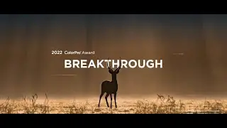 ViewSonic 2022 ColorPro Award: BREAKTHROUGH (full version)