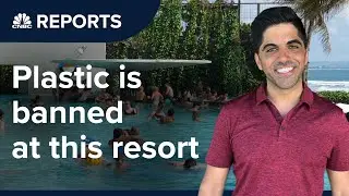 Полезны ли для бизнеса экологичные решения? | CNBC Reports