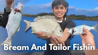 Fishin For Bream And Tailor With Pilchards!  