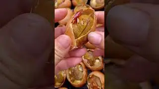 #gaga #Spicy Live Beads#likabilityincentiveplan#Live pearls that can be fried or grilled