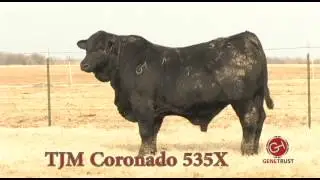 TJM Coronado 535X