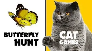 CAT GAMES ★ BUTTERFLY HUNT on screen
