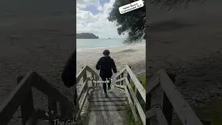 Hahei Beach #hahei #newzealand #coromandel  #haheibeach