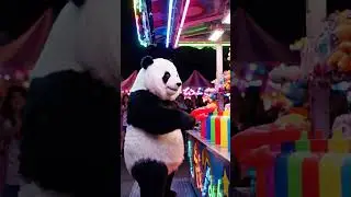 Panda Wins Giant Teddy 🎯🐻 #panda #funny #cute #dailypanda #pandashorts #animals #funnypanda