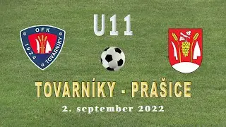 Tovarn&iacute;ky -  Pra&scaron;ice