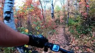 Mountain Biking on a carpet of autumn leaves