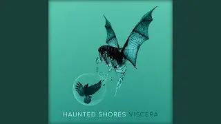 Vectors
