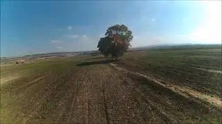 pilot- noam mrdo