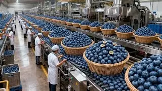 Inside the Blueberry Factory From Fresh Blueberries to Delicious Syrup (Full Process)