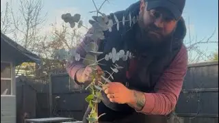 День 3. Создание стандартной грядки из эвкалипта, обработка краев клумбы и прополка. #эвкалипт #с...