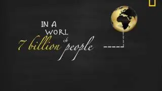 Nat Geo AE Project