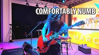 Comfortably Numb (Pink Floyd live-looping cover) - Epic Sunset Performance |  Clearwater Beach, FL🌅