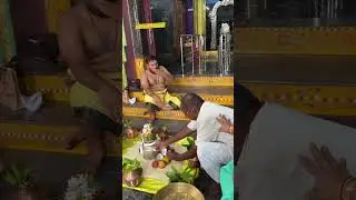 Tirupati Balaji Abhishek Darshan Live Video, Tirupati Balaji