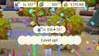 Animal Crossing: Pocket Camp Complete Longplay | Hitting Level 257