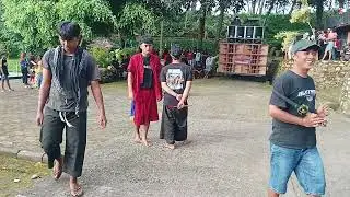 Lembu Suryo Joyo BANTENGAN MBEROT PENDATANG BARU KALAPAN LUAR BIASA 