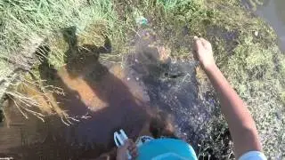 EEling in the creek