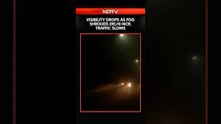 Delhi Fog | Visibility Drops as Fog Shrouds Delhi-NCR, Traffic Slows