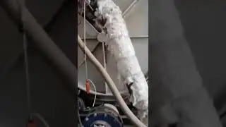 rotary furnace with fuel oil burner system and hood for dust colletor