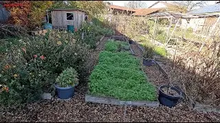 RHG 2025#58 - Gartenrundgang November 25
