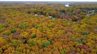 Fall colors West Michigan Nov 4th