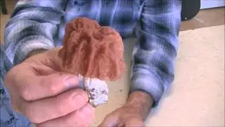 057 RSW The Difference Between a Real Morel Mushroom and a False Morel