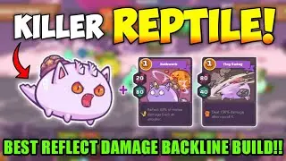 PERFECT BUILD BACKLINE! BEST REFLECT DAMAGE BUILD BY EL DORADO.ZORA ~ AXIE INFINITY