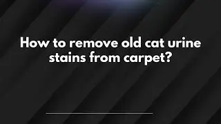 How to remove old cat urine stains from carpet?