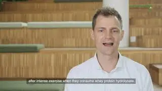 WHEY PROTEIN v9