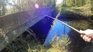 Keriyu Fishing a New Spot To see What Bites with Red Wrigglers