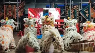 Lion Dance with Phoenix Dance - Rising Phoenix Texas 10 Years Anniversary