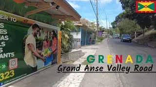 Grand Anse Valley Road walk, Grenada 🇬🇩