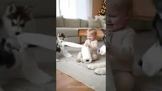 Baby vs Toilet Paper (Huskies Lost This One) 😂🧻🐶 | Funny Home Chaos #BabyHuskyFamily #BabyAndHusky