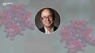 Jeffery W. Kelly: 2022 Breakthrough Prize in Life Sciences