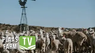Ontmoet Agri Noord-Kaap se Jongboer van die Jaar