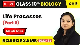 Life Processes - Menti Quiz (Part 5) | Class 10 Biology Chapter 5 (LIVE) 2023-24