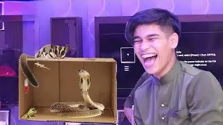 What Inside The Box