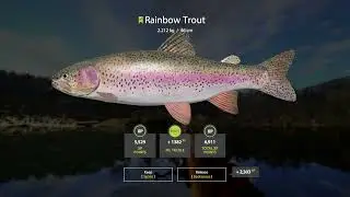 Russian Fishing 4 2023 11 24 kuori lake rainbow trout