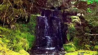 Waterfall on French Creek Rd. #oregon #pnw #nature #mountains #water #waterfall #waterfalls #relax