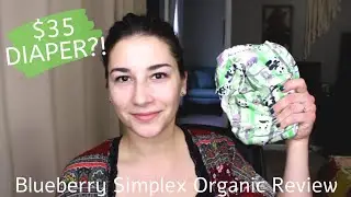 Blueberry Simplex Organic All-in-One Cloth Diaper Review + Demo + Absorbency Test