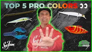 TOP 5 BAIT COLORS PROS USE! Top 5 in bass fishing - Ep 23
