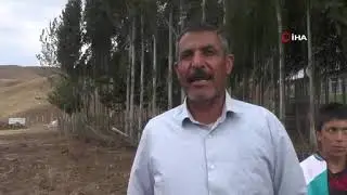 Varto’da sel