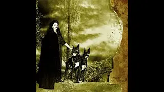 Beau Navire / Republic of Dreams Split 7