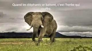 ✔ Les plus Belles Citations-Proverbes Africains