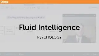 Fluid Intelligence | Psychology | Chegg Tutors