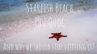 Don&rsquo;t go to the STARFISH BEACH, PHU QUOC | Places to see in Vietnam
